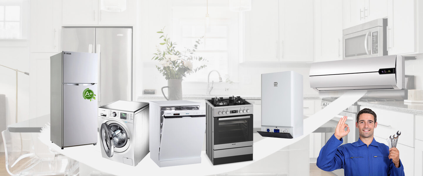 Maltepe Philips Servisi